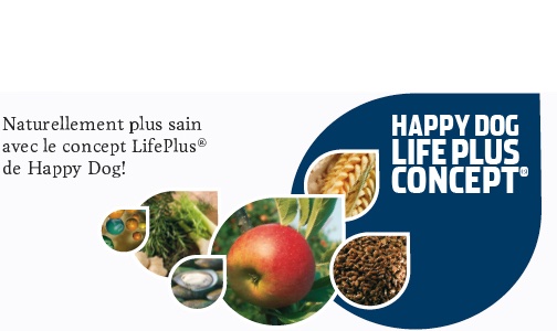 LifePlus Concept